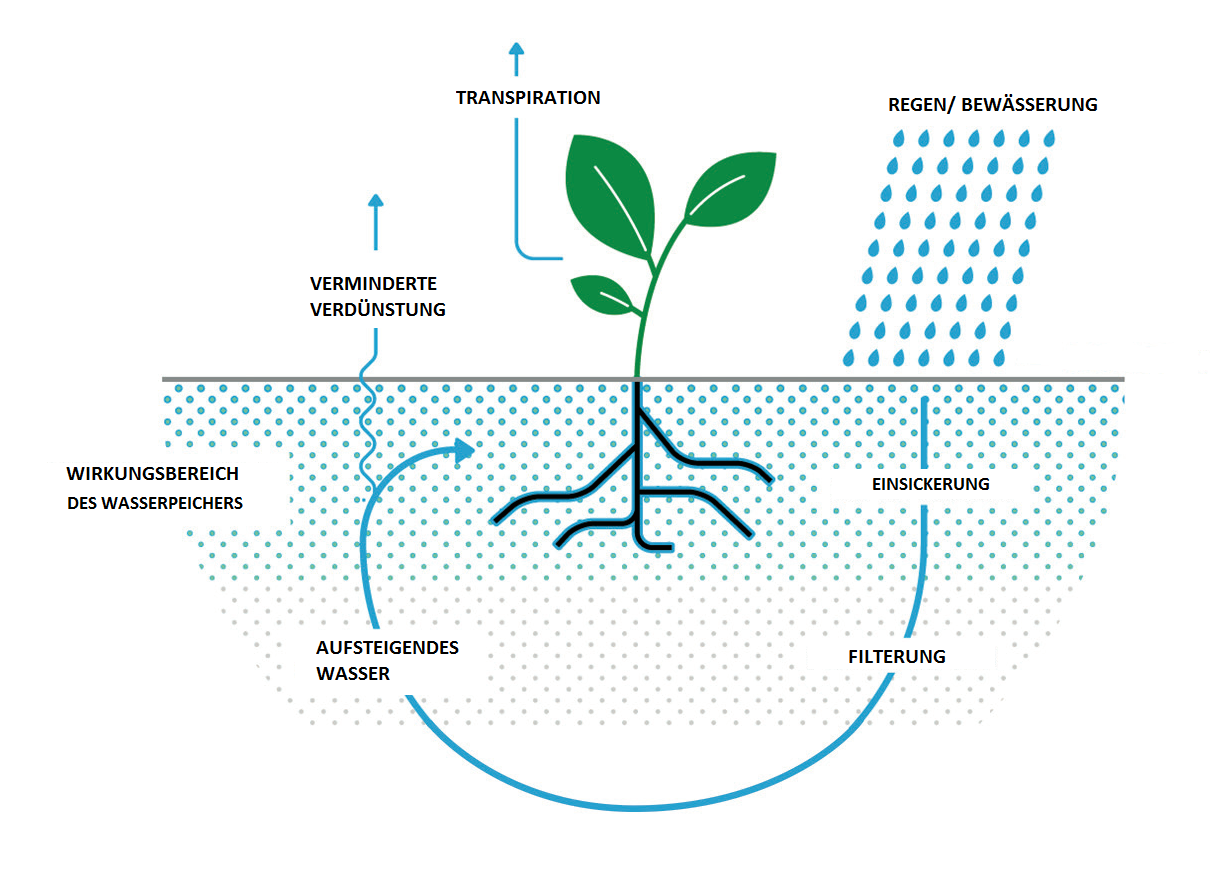 Hydro-Stabilisator 500ml Langzeitwirkung Wasserspeicher für Pflanzen